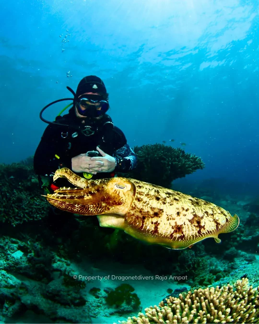 Raja Ampat with Dragonet Divers